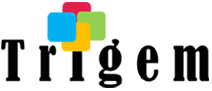 Trigem InfoSolutions Ltd.